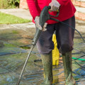Everything You Need to Know Before Investing in a Pressure Washer